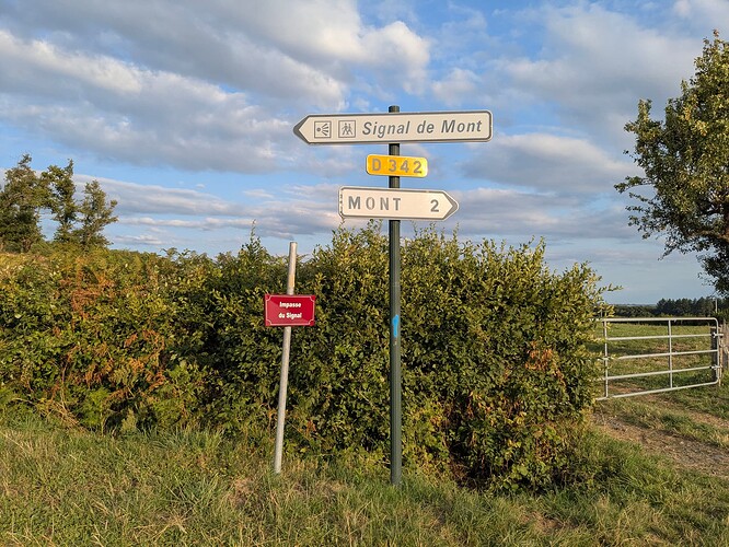 PXL_20250731_174715267