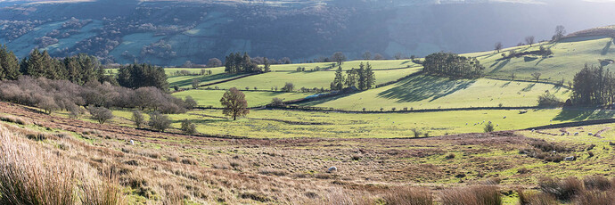 A142 Tor y Foel-22-Pano