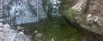 IMG_4699