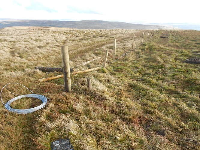 NP6 Gt.Shunner VHF, 22-10-25 (60)