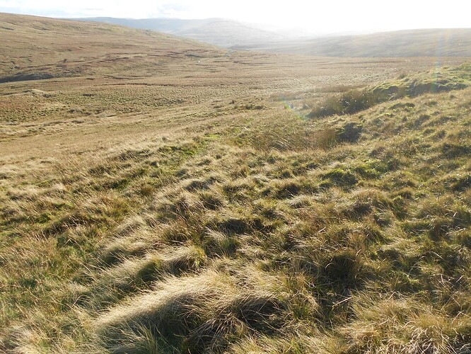 NP6 Gt.Shunner VHF, 22-10-25 (72)