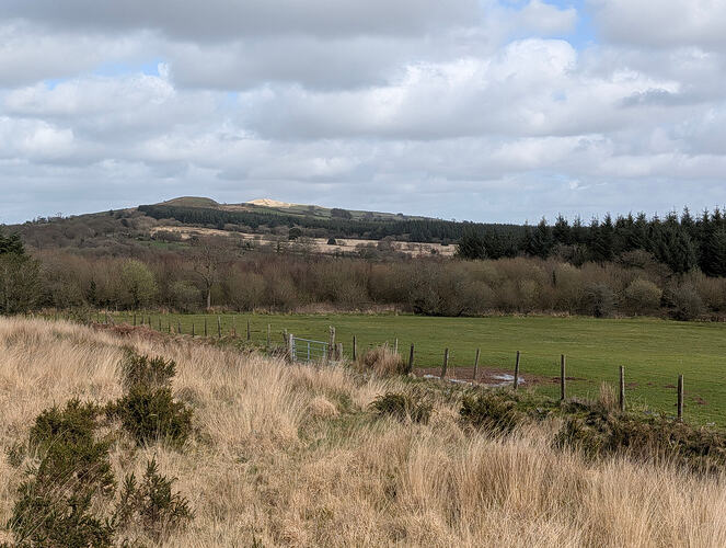 PXL_20260330_135500129