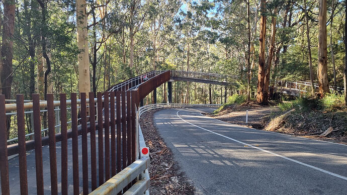 Bike bridge over Old Warburton Rd