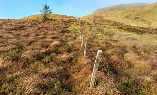 GM7STP-GMSS166-Photo-05