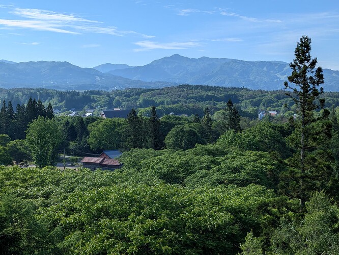 View towards the summit