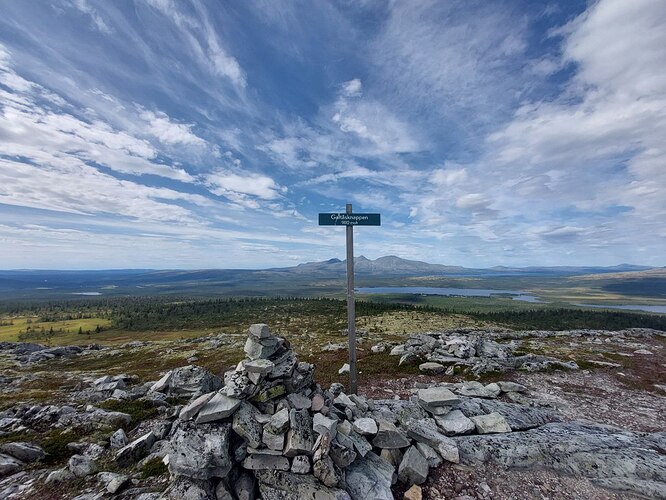 galtasknappen