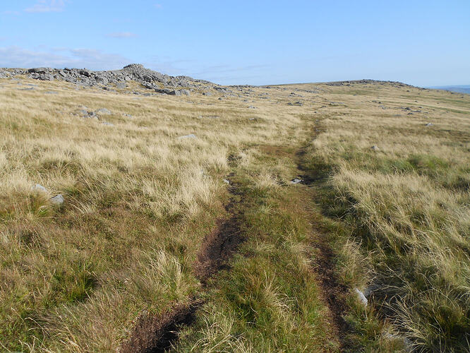 NP8 Gt Whernside-FINN,22-08-26 (46)