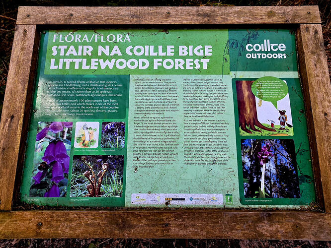 9d17ab46-dbd2-4689-baca-b037422001f1