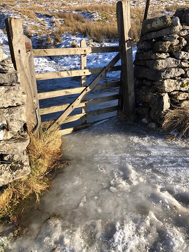 NP9 Frozen gate