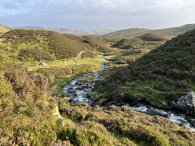 Path descending by Tail Burn