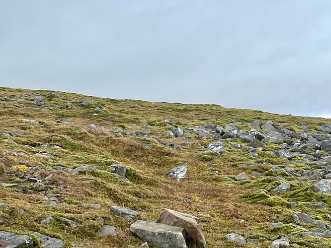 Bill and Barry discussing this year's malt