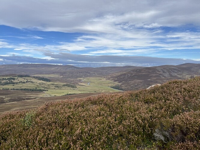 ascending GM/ES-036 Gellaig Hill