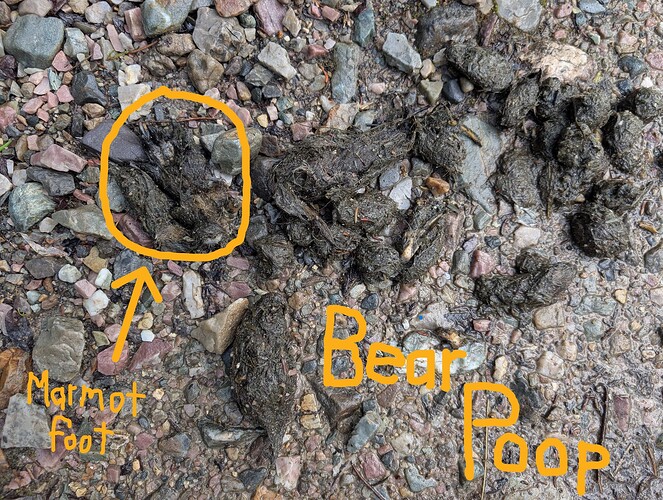 PXL_20250721_001000663