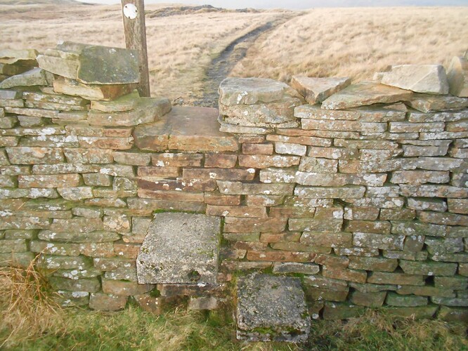 NP17 Fountains Fell,28-12-25 (66)