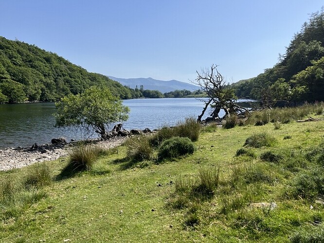 Llyn Cynwch