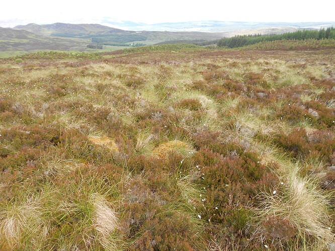 CS100 DUN COILLICH, 15-06-24 (6)