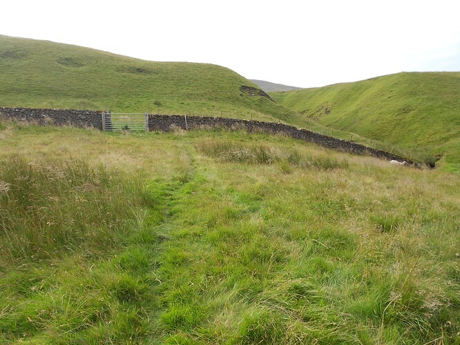 NP9,BuckPk,4m Contest Camp,160m,18to 19-07-24 (52)