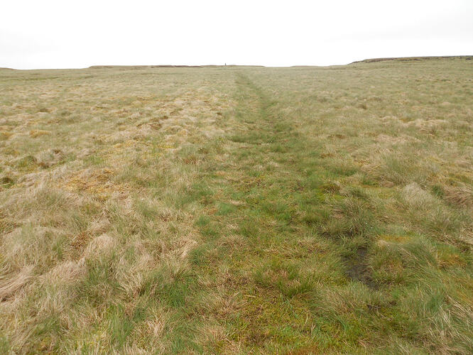 NP16 Dodd Fell, 29-05-26 (11)
