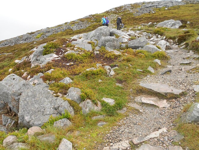 CS5 SCHIEHALLION, 17-06-24 (15)