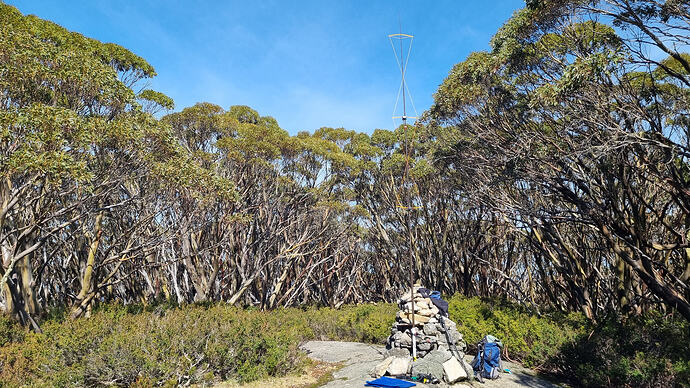 Antenna setup with double hourglass antenna.