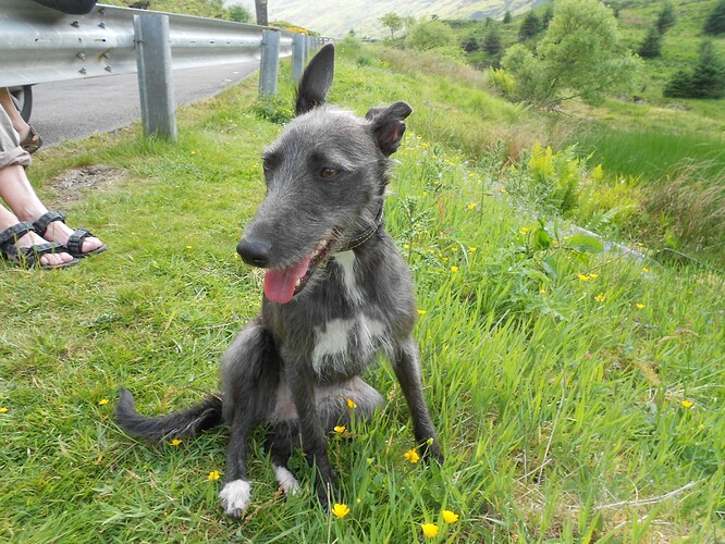 SS18-6,Beinn an Lochain,12-06-23 (96)