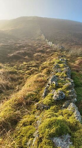 GM7STP-GMSS166-Photo-07