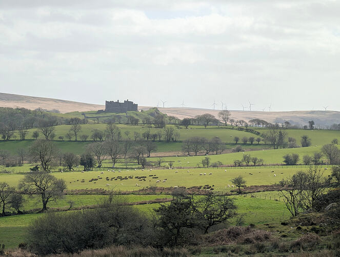 PXL_20260330_135446619