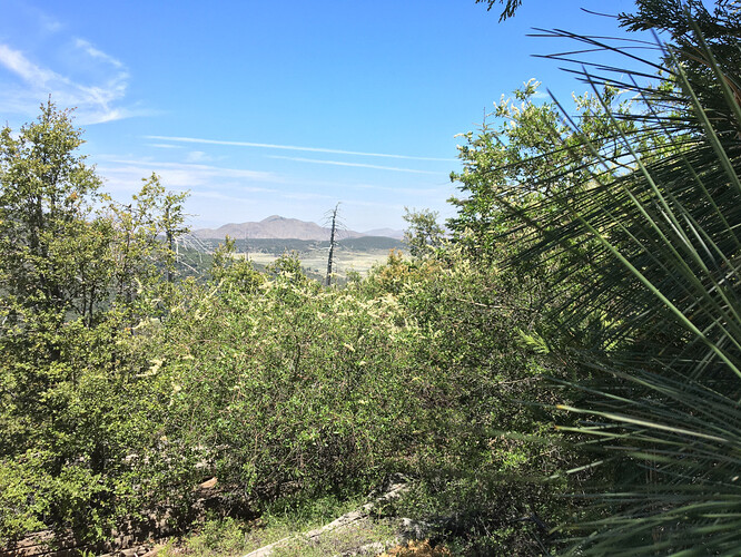 view