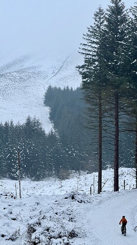 IMG_3276