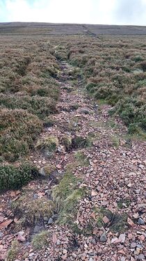 GM7STP-GMSS-167-Photo-06