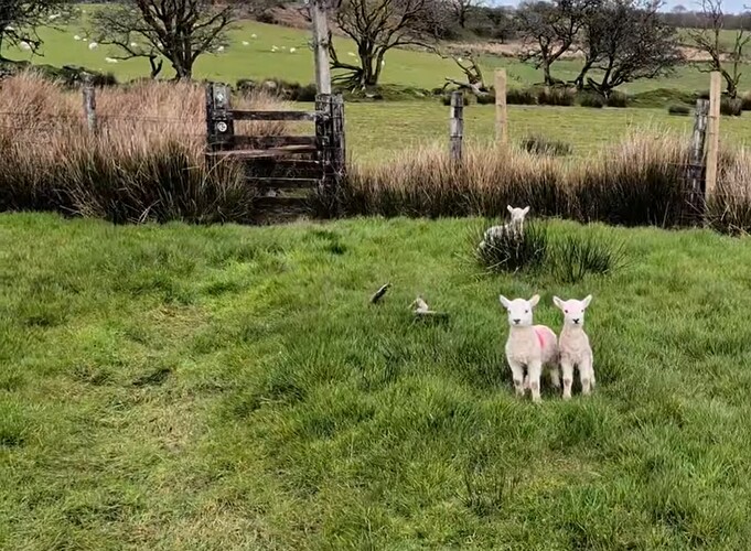 Screenshot 2026-03-30 201212