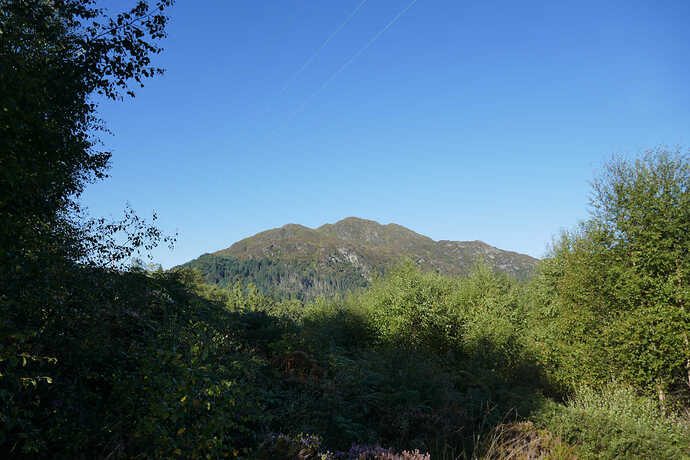P1050217 - Copy