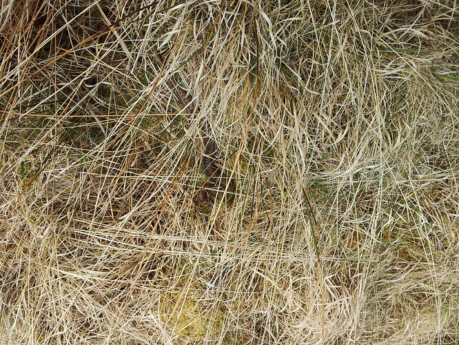2013-05-13 12.42.10