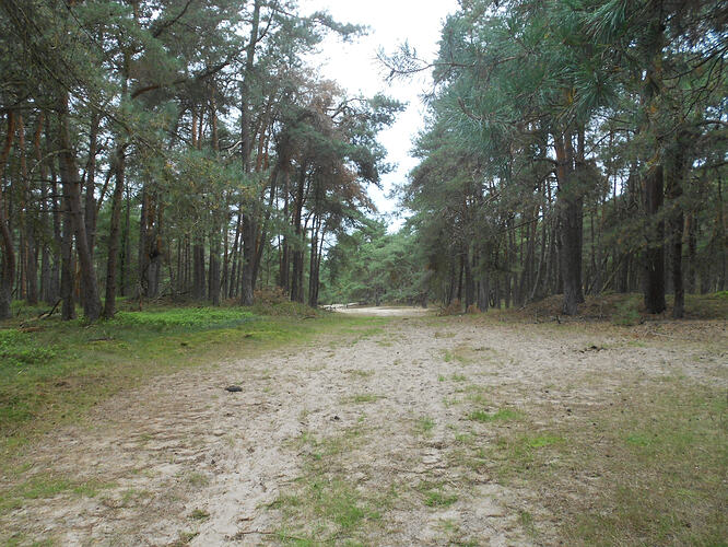 PA6 Signaal Imbosch SOLO, 22-09-26 (9)