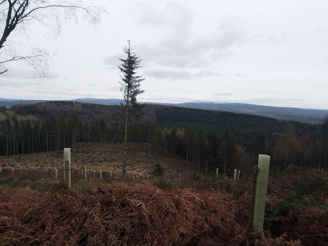 The view over to Titterstone Clee from the climb up High Vinnalls