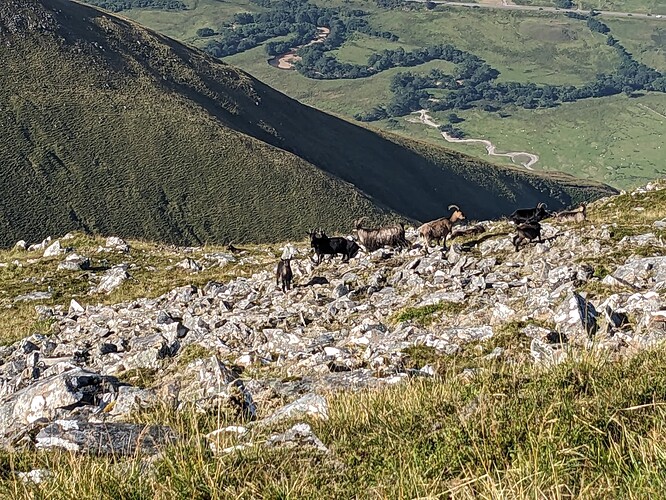 PXL_20250816_090218411