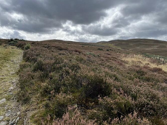 Ascending Mona Gowan, GM/ES-034 - summit is just right of centre666x500