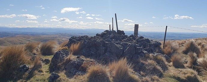 20250906_110406-crop