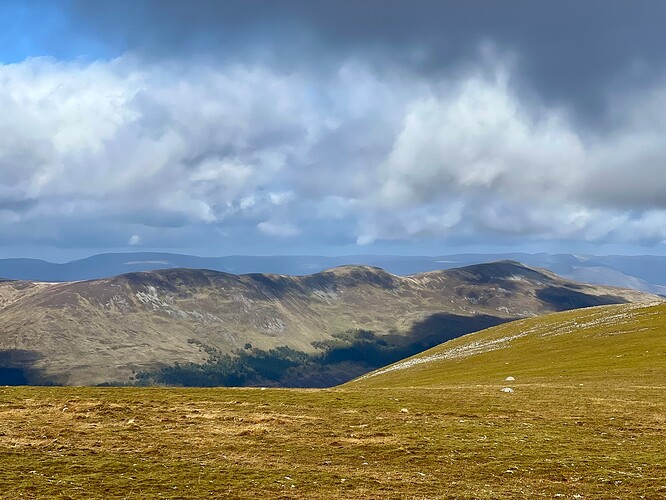 The Fara - another on my list!