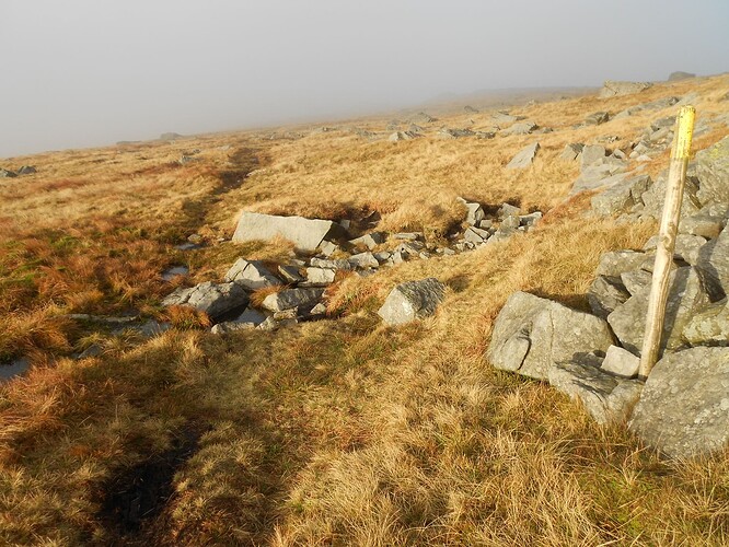 NP8 Gt Whernside VHF,26-12-25 (53)