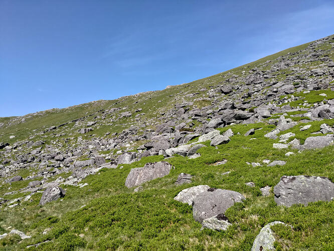 P_20260527_103110