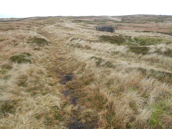 NP17 Fountains Fell,28-12-25 (17)