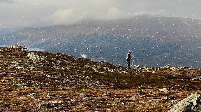 Descending in a hurry and a flurry