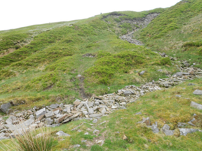 NP16 Dodd Fell, 29-05-26 (6)