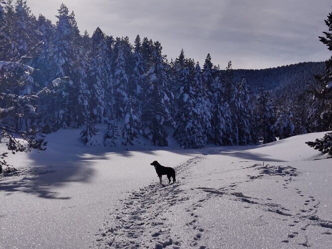 WhatsApp Image 2026-01-01 at 17.40.00