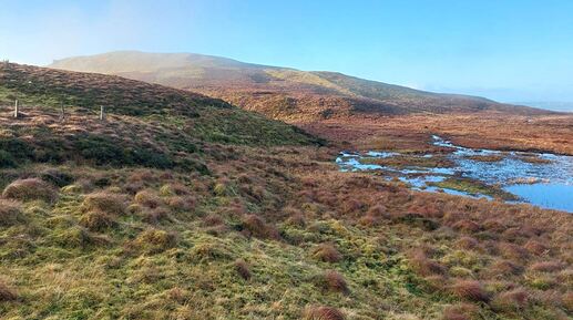 GM7STP-GMSS166-Photo-06