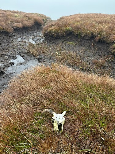 The peat hags only cost me dirty trousers and discomfort. Some were not as lucky.