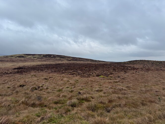 View from the top of the track towards the summit and deer fence