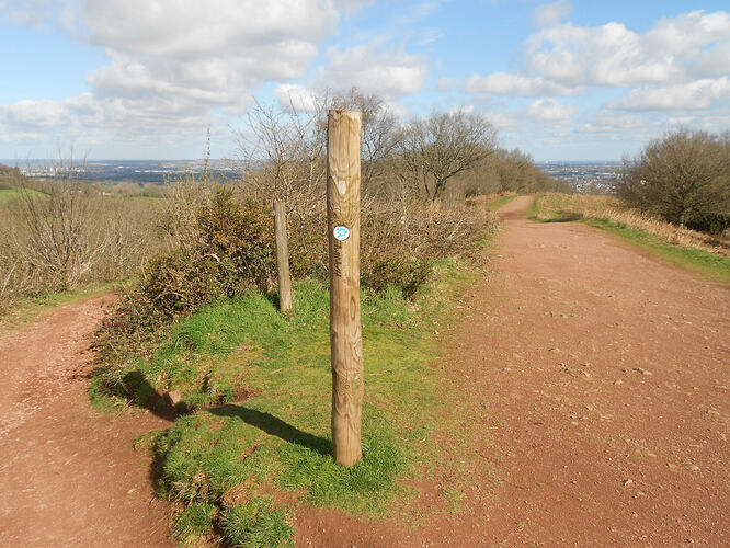 CE2 Walton Hill, 26-03-26 (8)