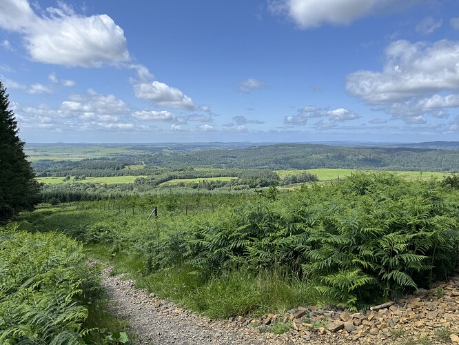 Ascending Cairnsmore of Fleet: crossing the forest road